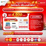 โปรโมชั่น 4900 paypoint ถึง 31 ธันวาคม 67